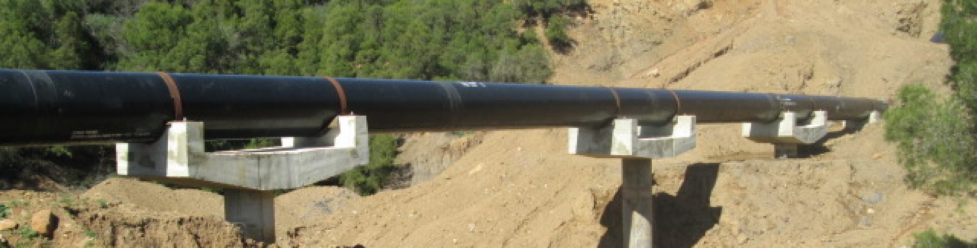 cropped-Photo-216.jpg