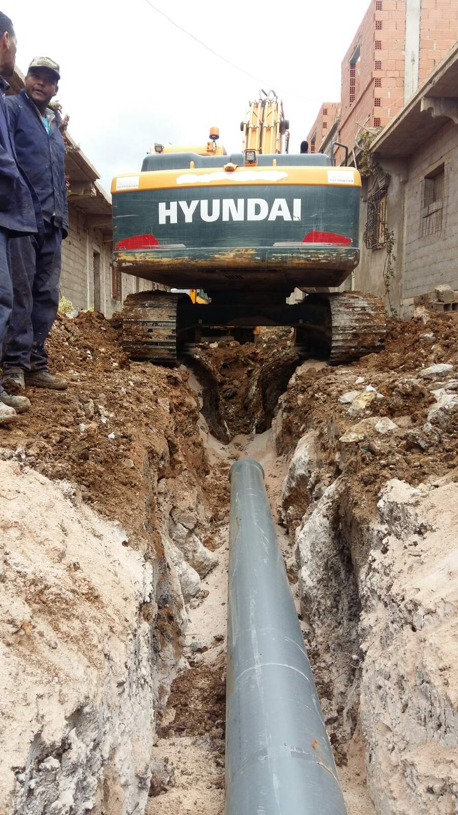 Koudia.jpg